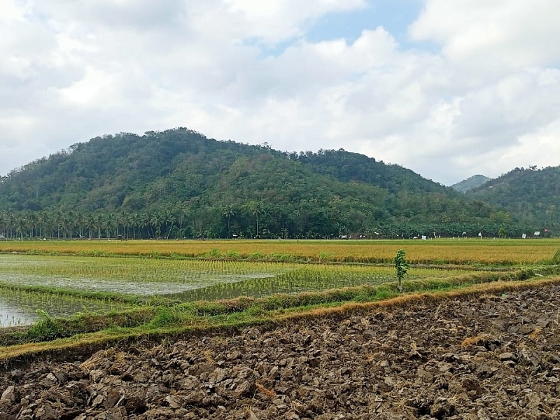 Quod quis hic aspernatur necessitatibus dolor quibusdam explicabo